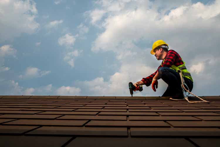 shingle-repairman